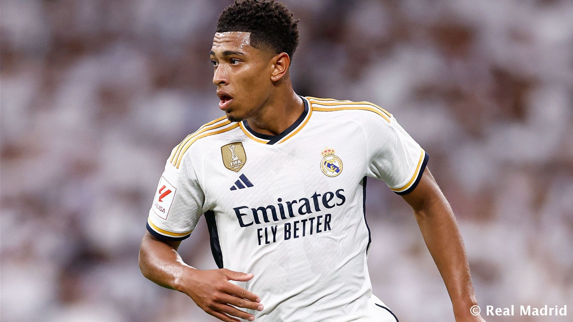 弗拉霍维奇晒龙珠悟空恢复照：手术很顺利，感谢大家（弗拉霍维奇晒龙珠悟空康复照：手术顺利，向大家致谢）