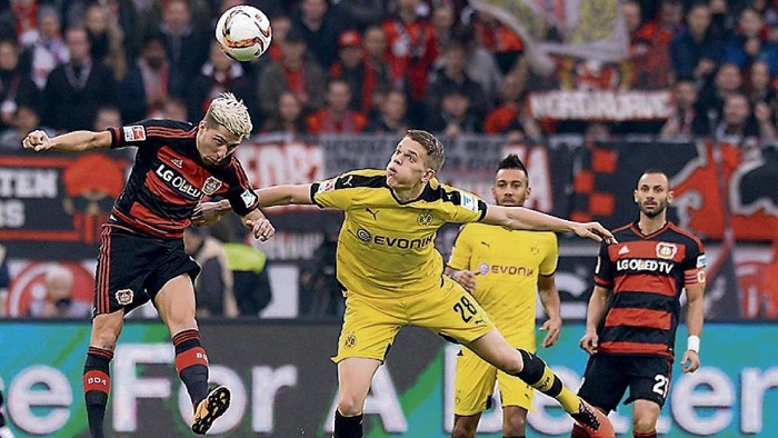 翻修球场，“连滚带爬”为的是“从从容容”（球场翻修：此刻忙乱，只为日后从容）